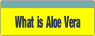 What is Aloe Vera.